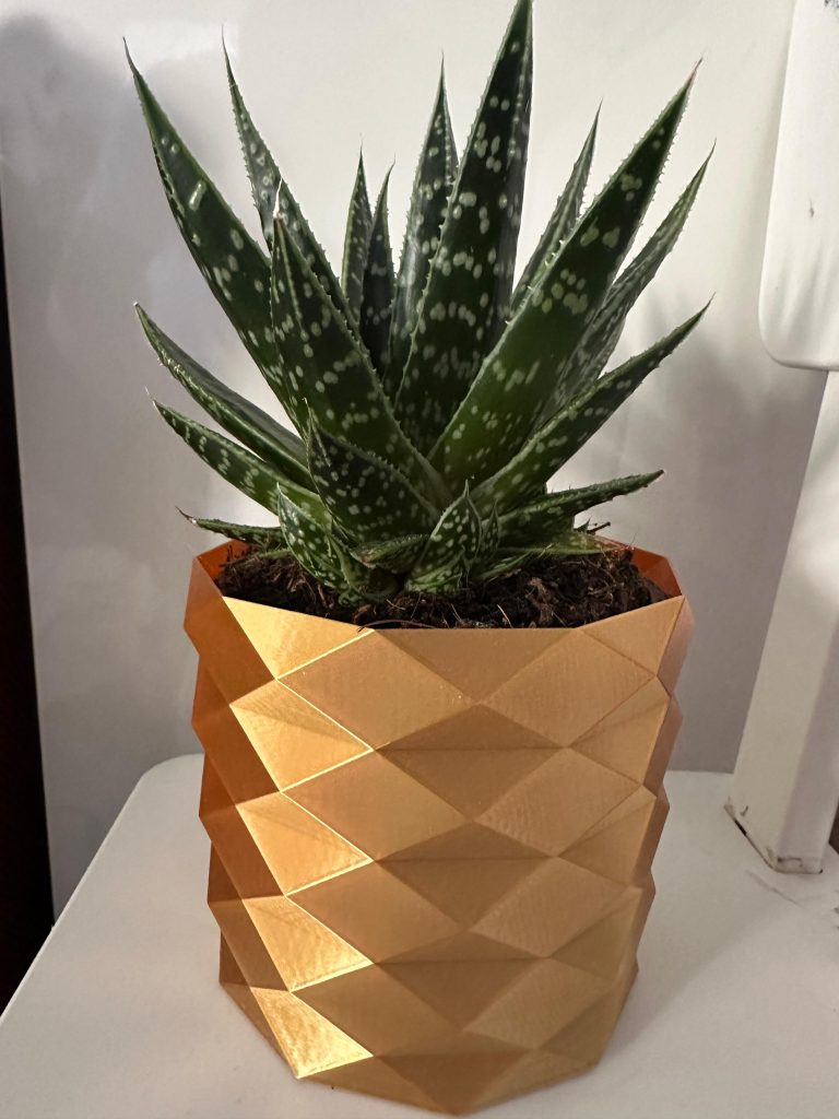 whatsapp image 2025 09 18 at 10.29.54