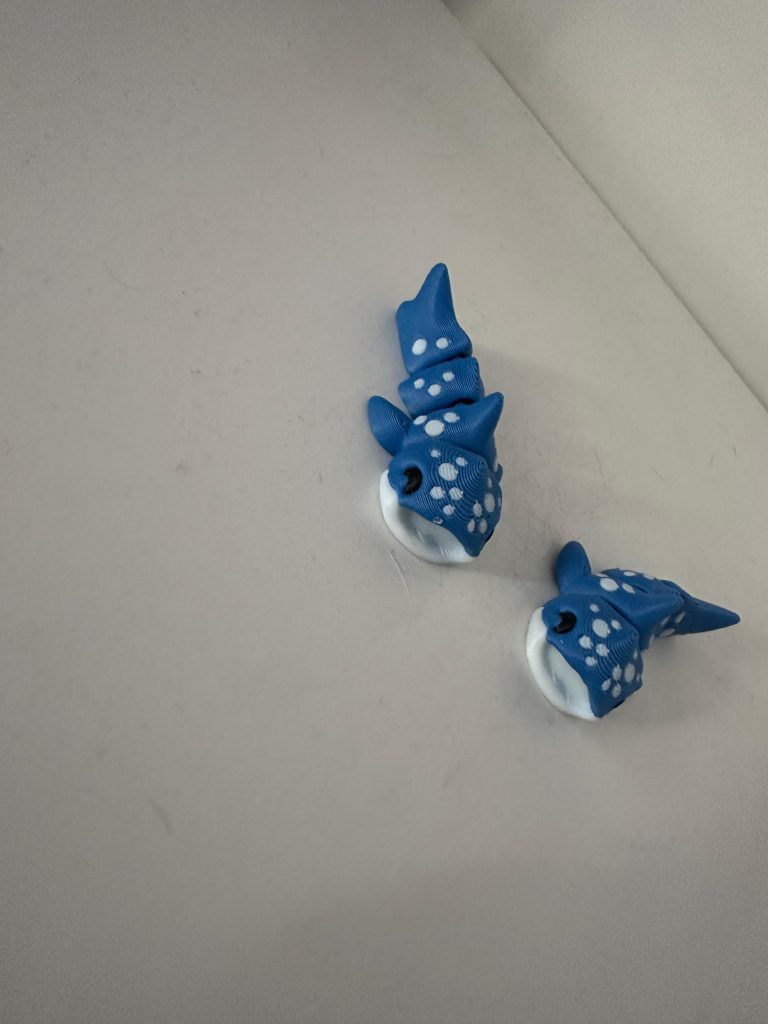 whatsapp image 2025 09 18 at 10.29.56(2)